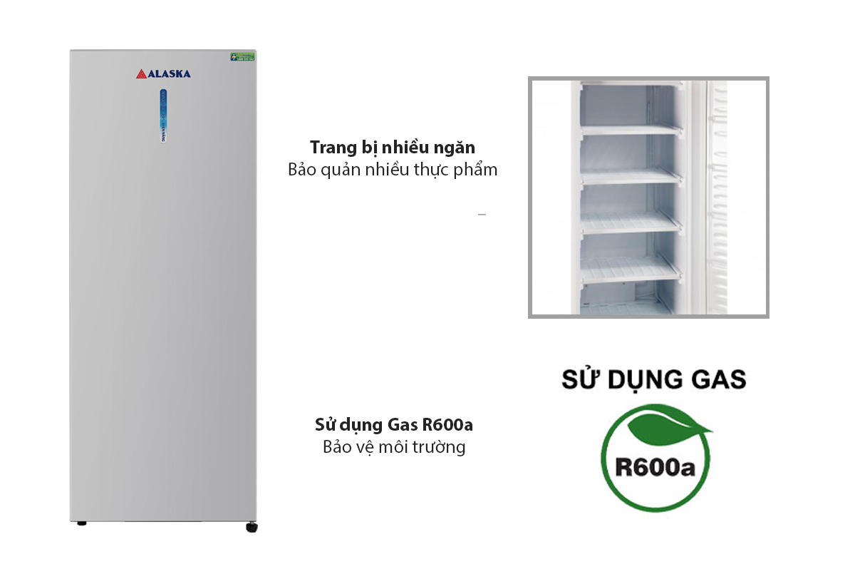 Tủ đông IF-21 thiết kế hiện đại, tiện ích, sử dụng gas R600a bảo vệ môi trường