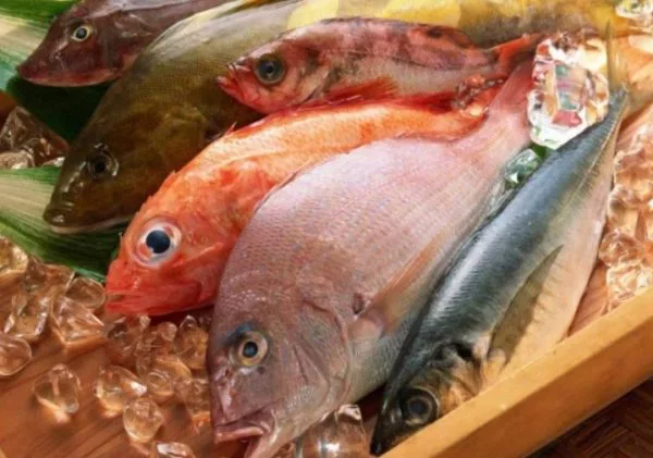 cách bảo quản thịt cá trong tủ đông